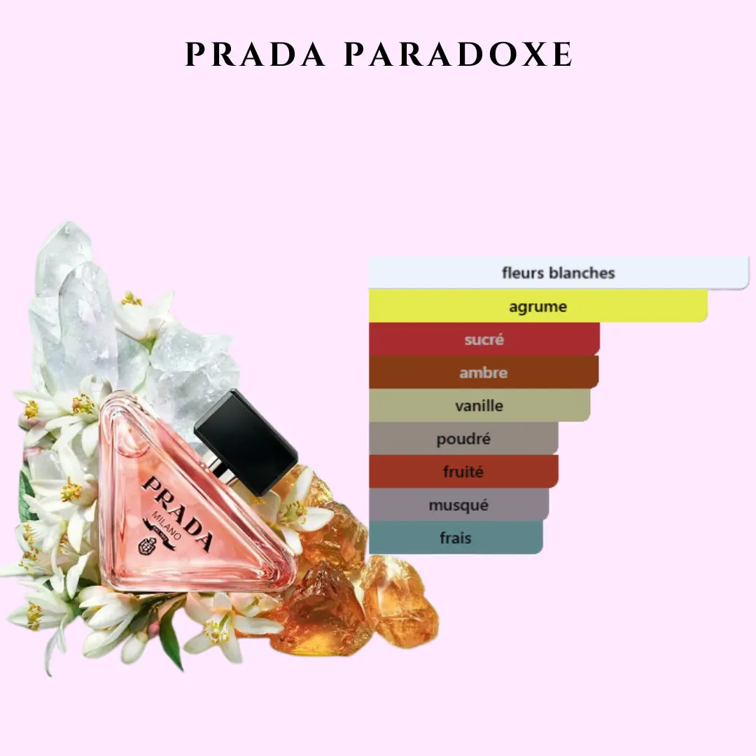 Style Paradoxe – Image 2